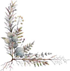 Hand-drawn herbs and wildflowers framing the chapter