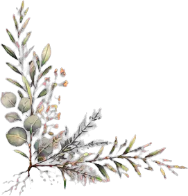 Hand-drawn olive leaves and quiet wildflowers