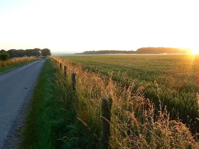 Sunrise light breaking over open farmland