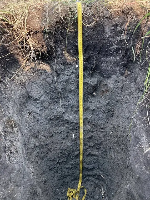 A measuring tape in a dug soil pit, showing dark, rich layers of healthy topsoil