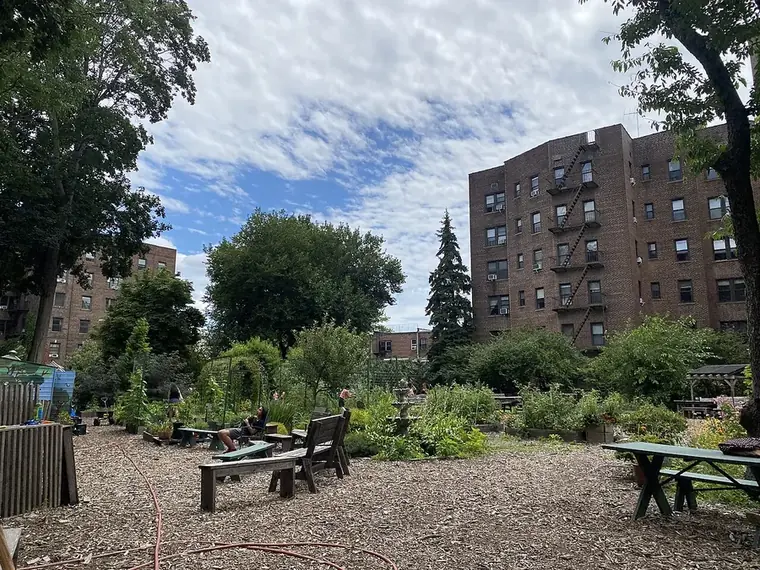 Raised beds and pathways in a community garden