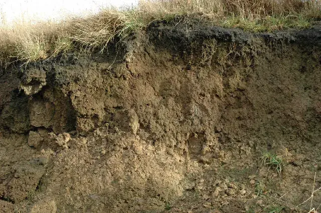 A cross-section of a soil profile showing distinct coloured layers underground