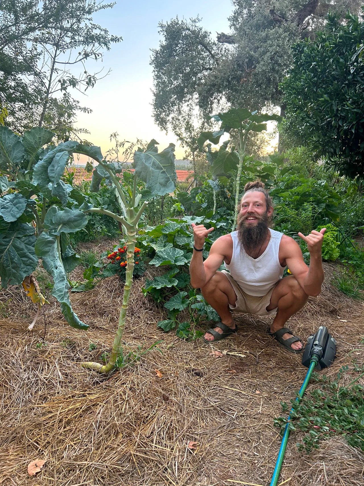 Benjy smiling among tall leafy vegetables in a mulched garden