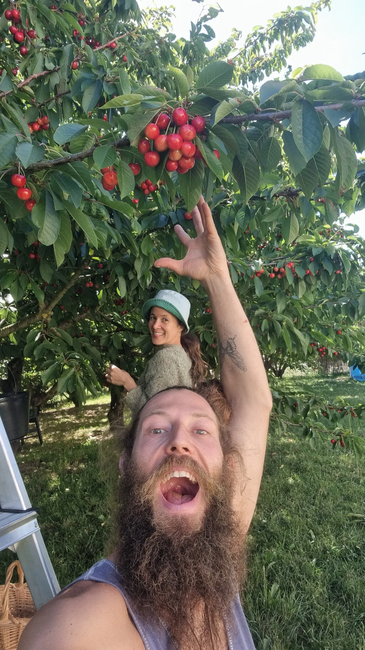 Benjy and Sofia picking cherries together beside a leafy tree