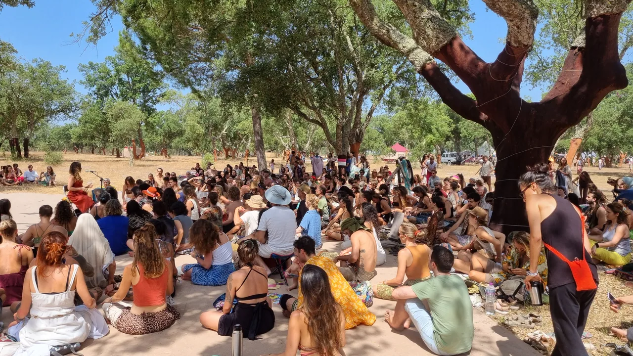 People gathered beneath mature cork oak trees