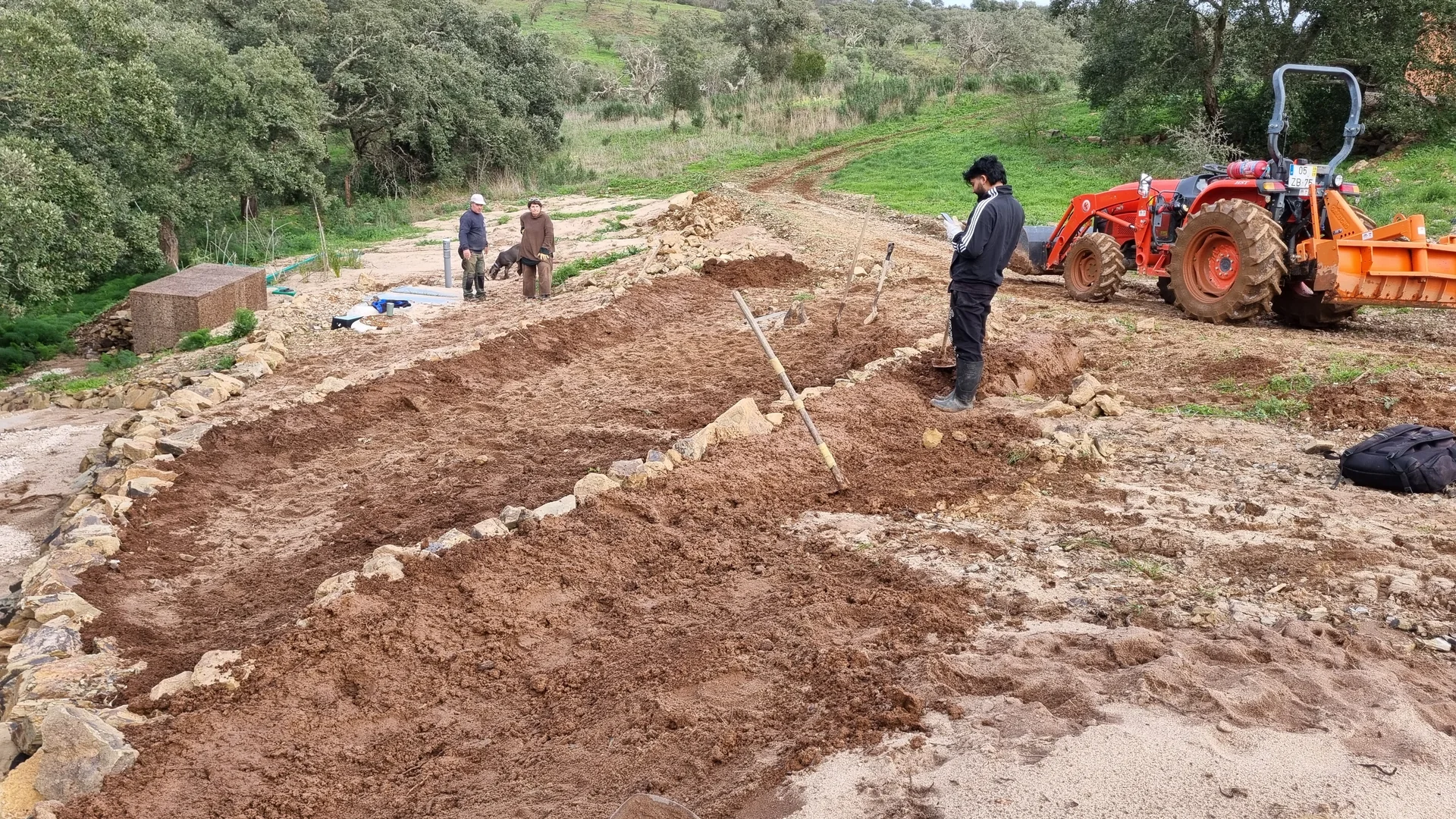 Terrace ground being shaped within an olive orchard at the start of the project