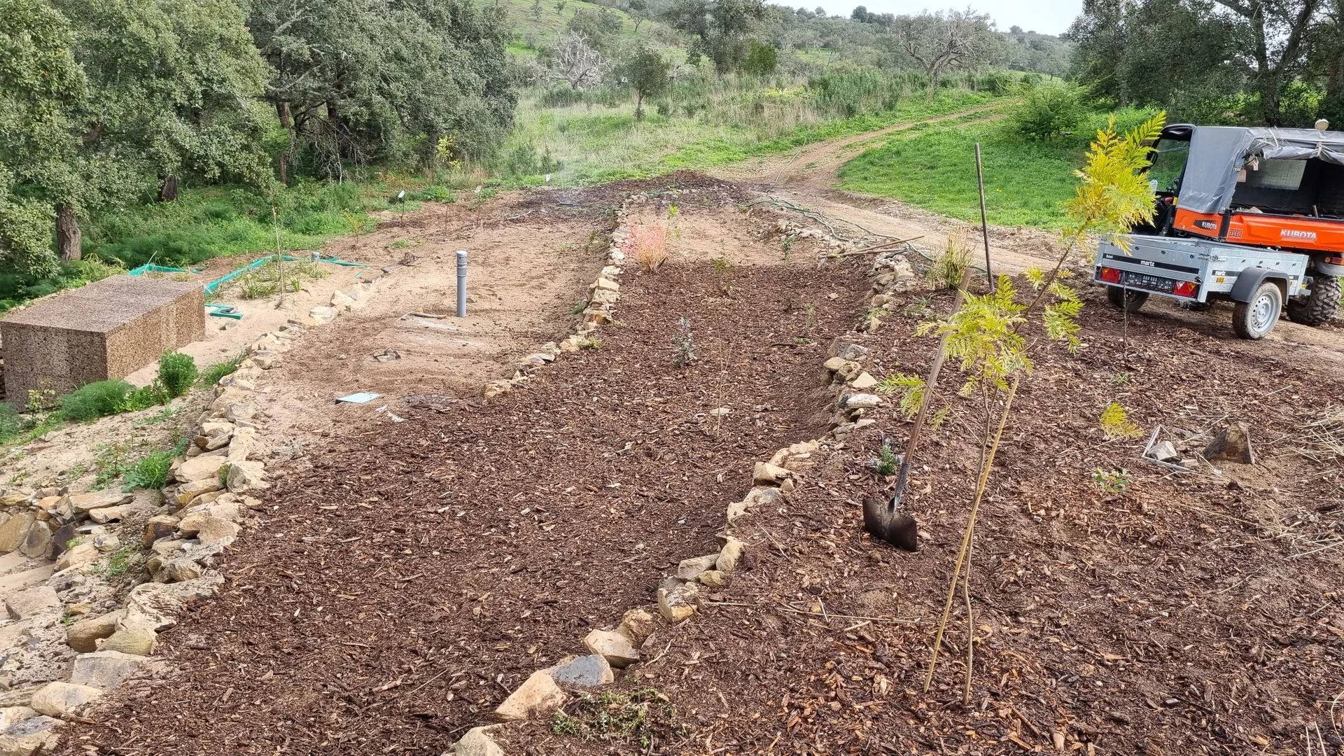Planted terrace beds covered with mulch among existing trees